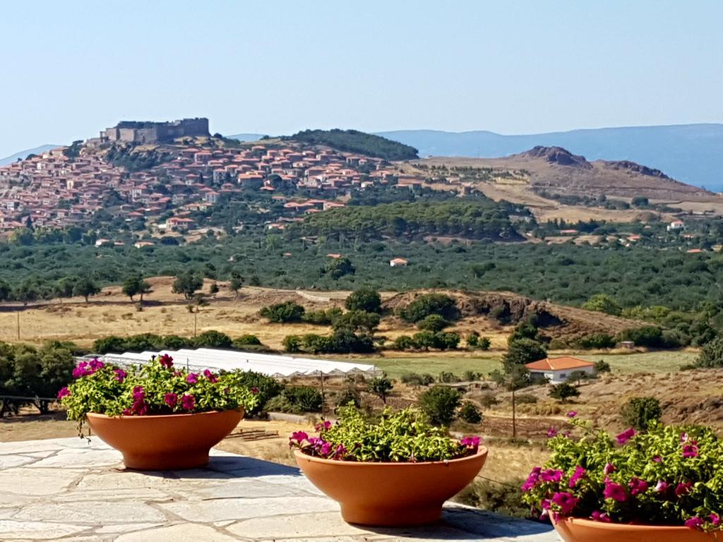 Villa Molivos Views Mithimna Extérieur photo