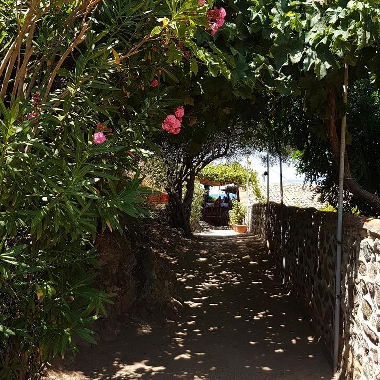 Villa Molivos Views Mithimna Extérieur photo